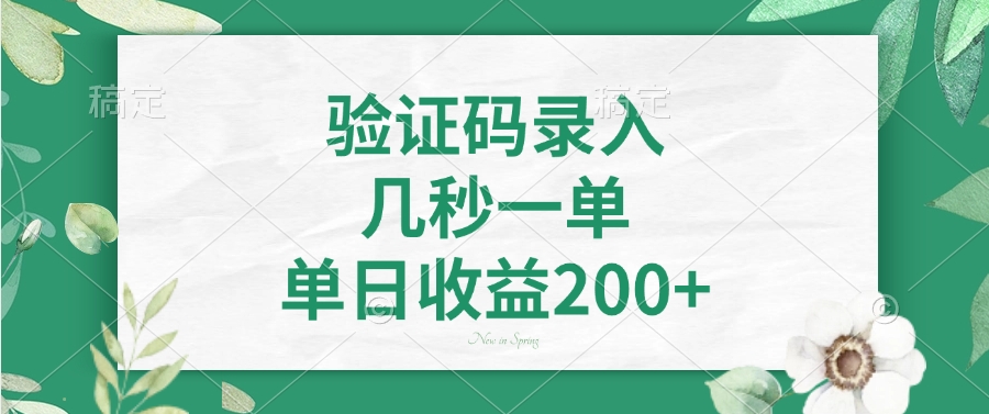 （14221期）验证码录入，几秒一单，单日收益200+-斜杠青年