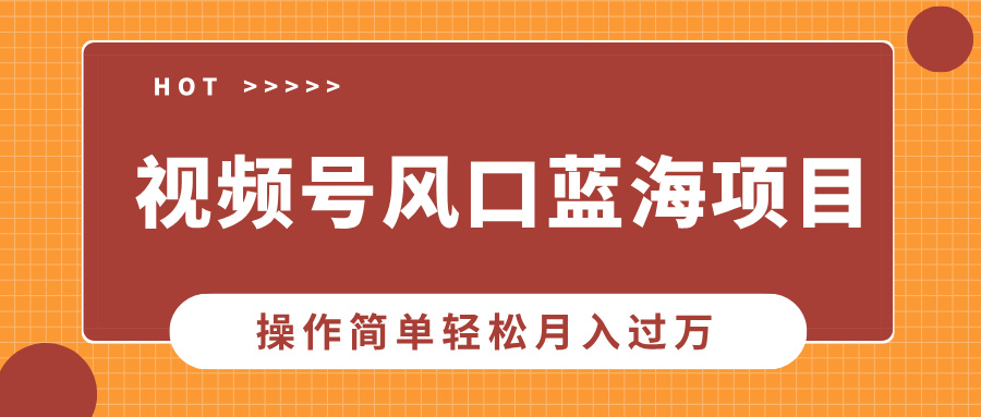 （13945期）视频号风口蓝海项目，中老年人的流量密码，操作简单轻松月入过万-斜杠青年