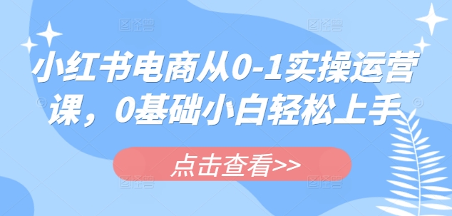 小红书电商从0-1实操运营课，0基础小白轻松上手-斜杠青年