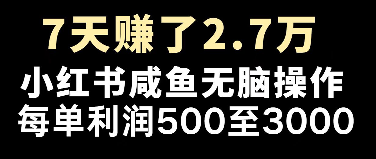 （14183期）最赚钱项目之一，2025爆火，逆风翻盘！-斜杠青年