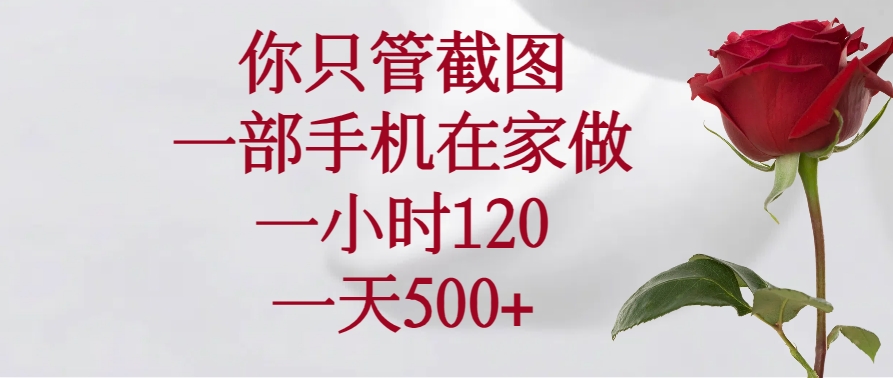 （14248期）你只管截图，一部手机在家做，一小时120，一天500+-斜杠青年
