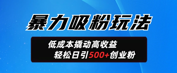 暴力吸粉玩法，日引500+精准创业粉，日变现轻松多张-斜杠青年