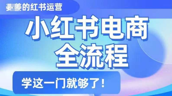 小红书电商全流程，精简易懂，从入门到精通，学这一门就够了-斜杠青年