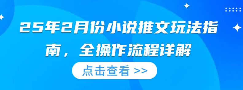 25年2月份小说推文玩法指南，全操作流程详解-斜杠青年