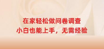 在家轻松做问卷调查，小白也能上手，无需经验-斜杠青年
