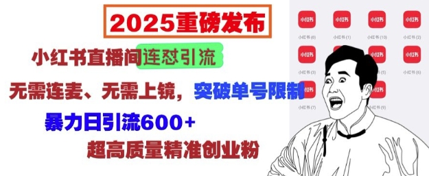 2025重磅发布：小红书直播间连怼引流，无需连麦、无需上镜，突破单号限制，暴力日引流600+-斜杠青年