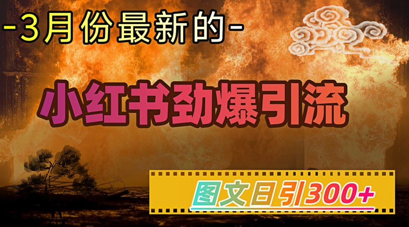 小红书超劲爆引流手段，图文日引300+轻松变现1W-斜杠青年
