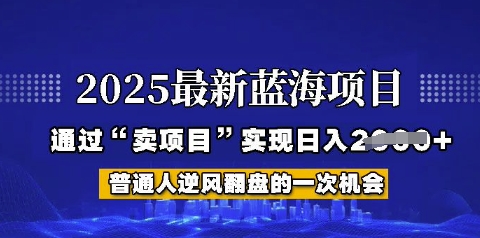 2025年首次揭秘如何通过“网创项目”日入多张【揭秘】-斜杠青年