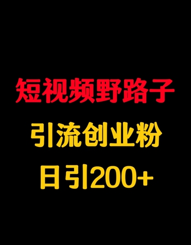 短视频野路子引流创业粉，日引200+-斜杠青年