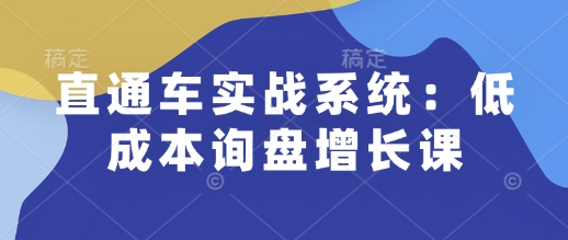 直通车实战系统：低成本询盘增长课，让个人通过技能实现升职加薪，让企业低成本获客，订单源源不断-斜杠青年