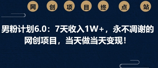 男粉计划6.0：7天收入1W+，永不凋谢的网创项目，当天做当天变现-斜杠青年