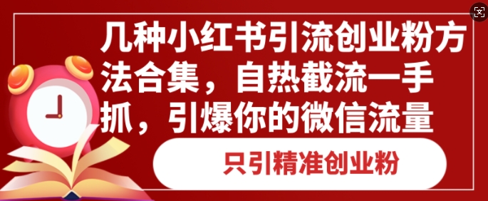 几种小红书引流创业粉方法合集，自热截流一手抓，引爆你的微信流量-斜杠青年