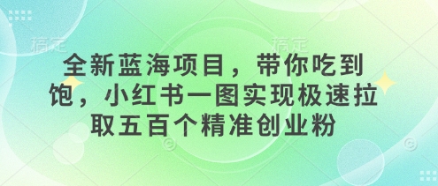 全新蓝海项目，带你吃到饱，小红书一图实现极速拉取五百个精准创业粉-斜杠青年