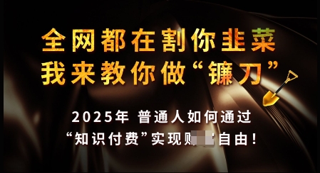 知识付费如何做到月入过W+，2025我来教你做“镰刀”【揭秘】-斜杠青年