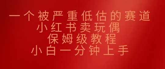 一个被严重低估的赛道，小红书卖玩偶，保姆级教程，小白一分钟上手-斜杠青年