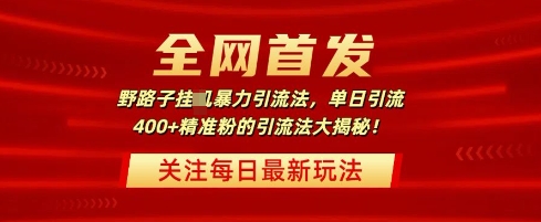 全网首发，野路子暴力引流法，单日引流400+精准粉的引流法大揭秘-斜杠青年