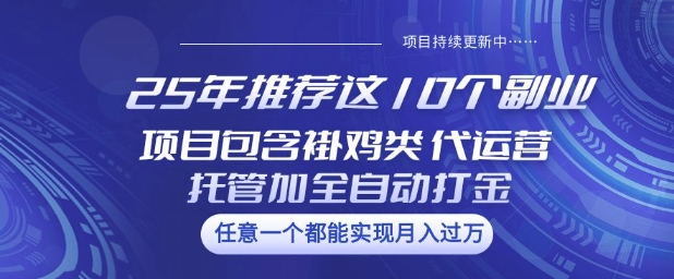 25年推荐这10个副业项目包含褂鸡类、代运营托管类、全自动打金类【揭秘】-斜杠青年