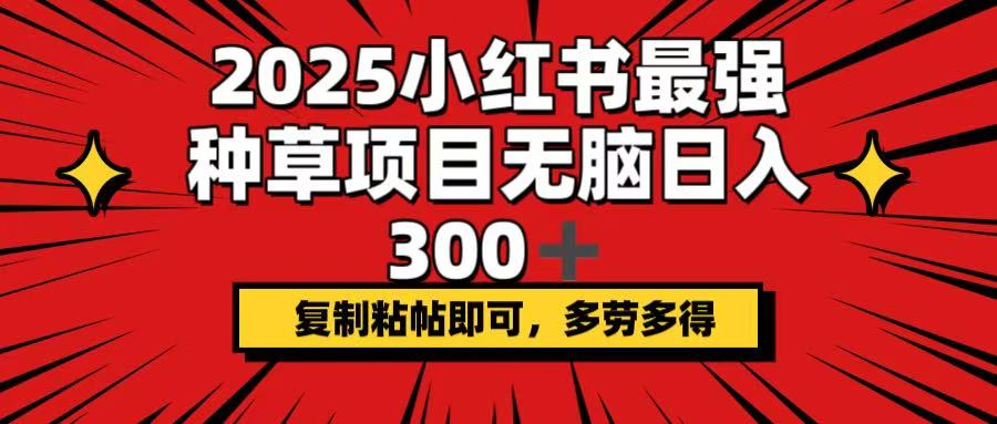 （14375期）2025小红书最强种草项目，无脑日入300+，复制粘帖即可，多劳多得-斜杠青年
