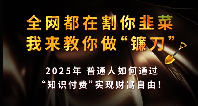 全网都在割你韭菜，我来教你做镰刀，2025年普通人如何通过 知识付费 实现财F自由【揭秘】-斜杠青年