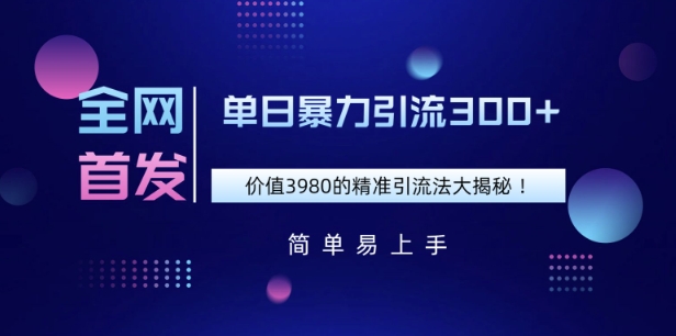 全网首发，价值3980单日暴力引流300+的精准引流法大揭秘-斜杠青年