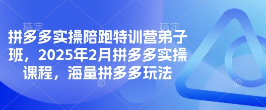 拼多多实操陪跑特训营弟子班，2025年2月拼多多实操课程，海量拼多多玩法-斜杠青年