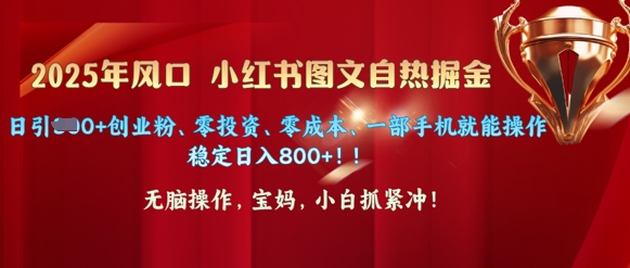 25年风口小红书图文掘金，日引300+创业粉、零投资、零成本、一部手机就能操作-斜杠青年