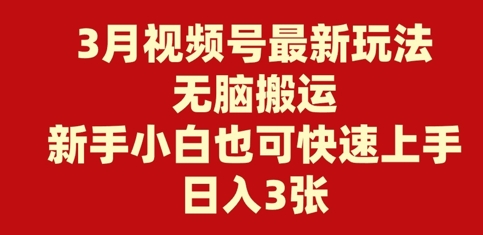 3月视频号最新玩法，无脑搬运，新手小白也可快速上手，日入3张-斜杠青年