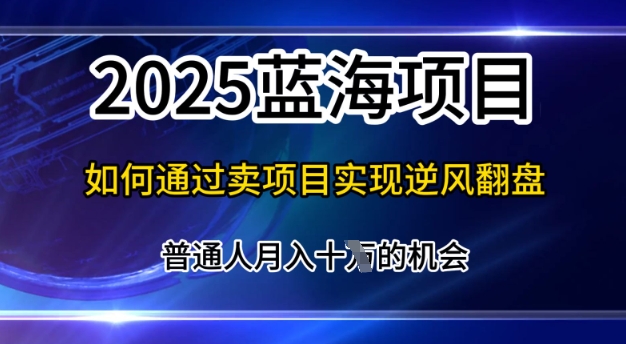 2025蓝海项目，普通人如何通过卖项目实现逆风翻盘，月入10个【揭秘】-斜杠青年