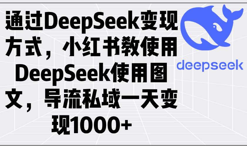 （14179期）通过DeepSeek变现方式，小红书教使用DeepSeek图文，导流私域一天变现1000+-斜杠青年