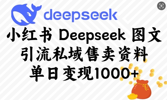 小红书Deepseek图文引流私域售卖资料，单日变现多张-斜杠青年