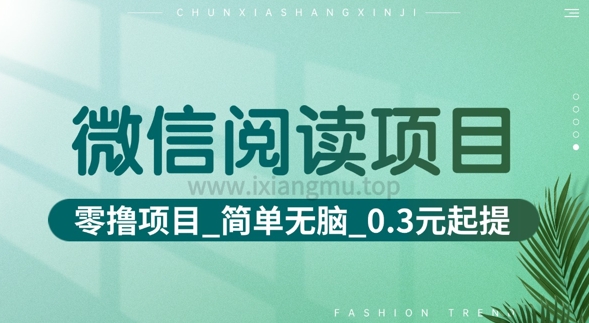 微信阅读项目_零撸项目+简单无脑+0.3元起提(六大平台合集汇总)-斜杠青年