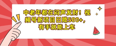 中老年都在闷声发财，视频号新项目日入多张，有手就能上车-斜杠青年