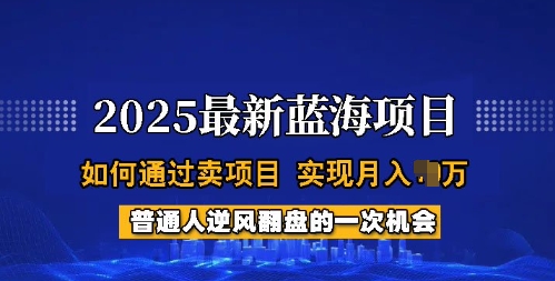 2025蓝海项目，普通人如何通过卖项目，实现月入过W，全过程【揭秘】-斜杠青年
