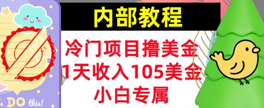 冷门项目撸美金，小白专属，1天收入105美刀，0门槛，内部教程-斜杠青年