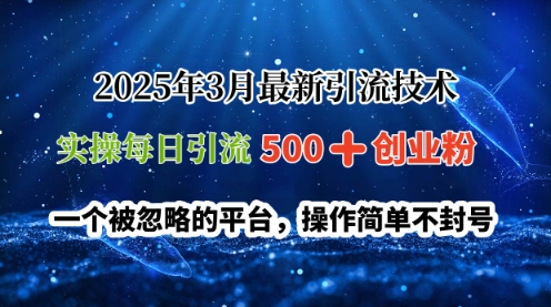 2025年3月最新引流技术，实操每日引流500+创业粉，一个被忽略的平台，操作简单不封号-斜杠青年
