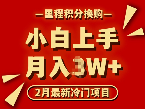 2月最新冷门项目，里程积分兑换机票项目，月入过W-斜杠青年
