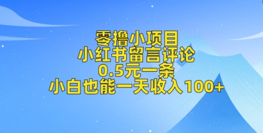 零撸小项目，小红书留言评论，0.5元一条，小白也能一天收入100+-斜杠青年