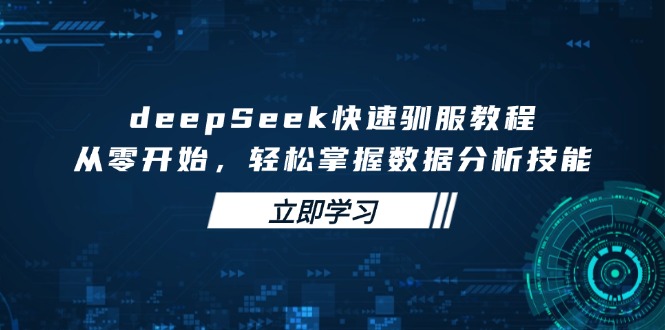 （14536期）deepSeek快速驯服教程，从零开始，轻松掌握数据分析技能-斜杠青年
