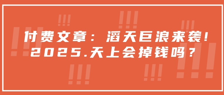 付费文章：滔天巨浪来袭！2025天上会掉钱吗？-斜杠青年