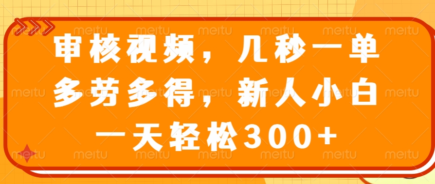 （14294期）审核视频，几秒一单，多劳多得，新人小白一天轻松300+-斜杠青年