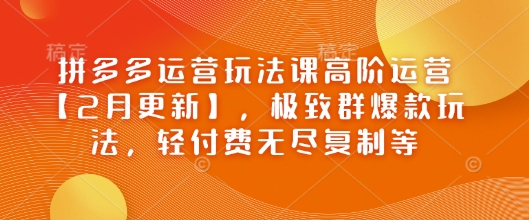 拼多多运营玩法课高阶运营【2月更新】，极致群爆款玩法，轻付费无尽复制等-斜杠青年