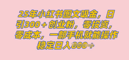 2025年小红书创业粉图文自热教程，日+300创业粉，单日变现多张，无脑操作，宝妈，小白抓紧冲-斜杠青年