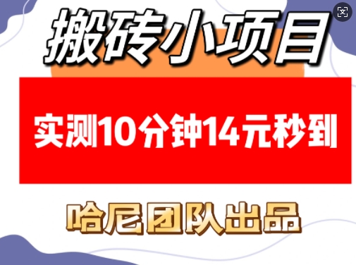 搬砖小项目，实测10分钟14元秒到，每天稳定几张(赠送必看稳定)-斜杠青年