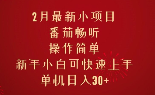 2月最新小项目，番茄畅听，操作简单，新手小白可快速上手，单机日入30+-斜杠青年