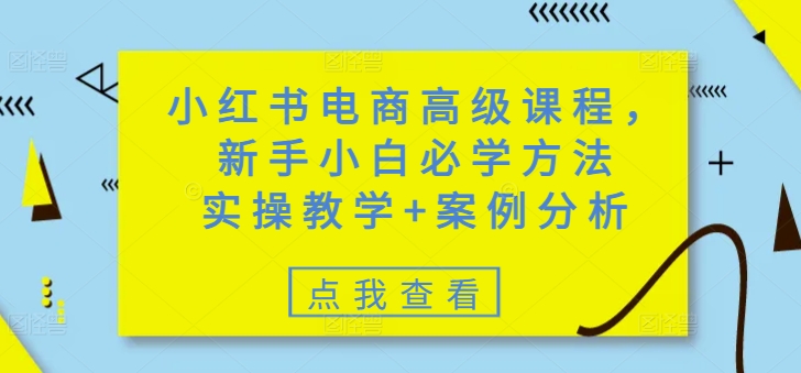 小红书电商高级课程，新手小白必学方法，实操教学+案例分析-斜杠青年