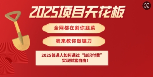 2025项目天花板普通人如何通过知识付费，实现财F自由【揭秘】-斜杠青年