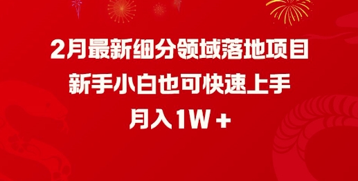 2月最新细分领域落地项目，新手小白也可快速上手，月入1W-斜杠青年