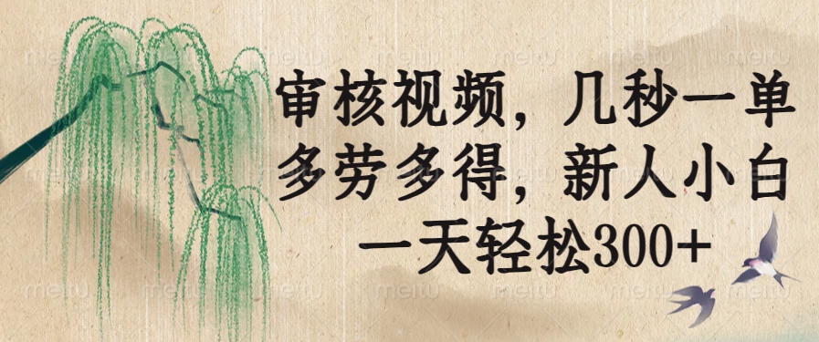 （14202期）审核视频，几秒一单，多劳多得，新人小白一天轻松300+-斜杠青年