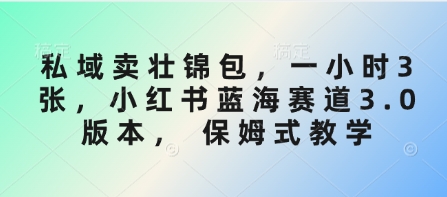 私域卖壮锦包，一小时3张，小红书蓝海赛道3.0版本， 保姆式教学-斜杠青年