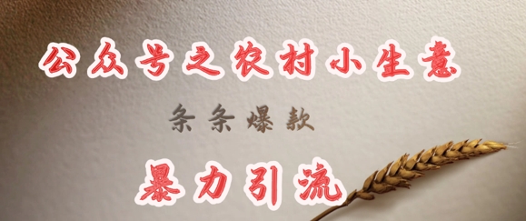 deepseek写农村小项目，条条爆款，暴力引流-斜杠青年